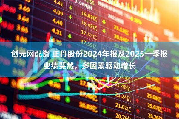 创元网配资 正丹股份2024年报及2025一季报业绩斐然，多因素驱动增长
