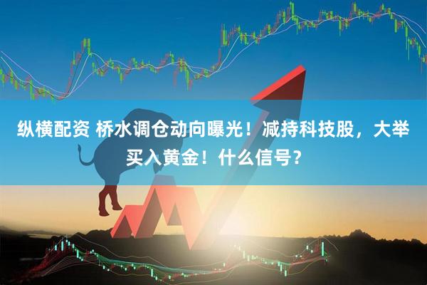 纵横配资 桥水调仓动向曝光！减持科技股，大举买入黄金！什么信号？