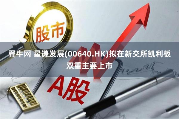 翼牛网 星谦发展(00640.HK)拟在新交所凯利板双重主要上市