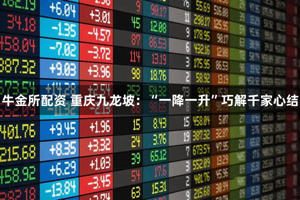 牛金所配资 重庆九龙坡：“一降一升”巧解千家心结