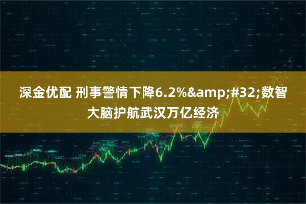 深金优配 刑事警情下降6.2%&#32;数智大脑护航武汉万亿经济