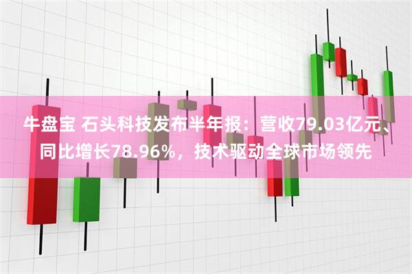 牛盘宝 石头科技发布半年报：营收79.03亿元、同比增长78.96%，技术驱动全球市场领先