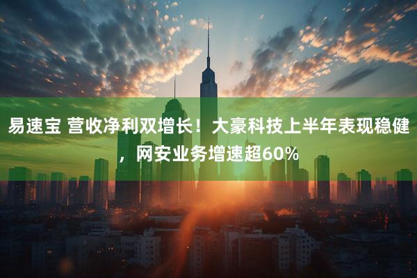 易速宝 营收净利双增长！大豪科技上半年表现稳健，网安业务增速超60%