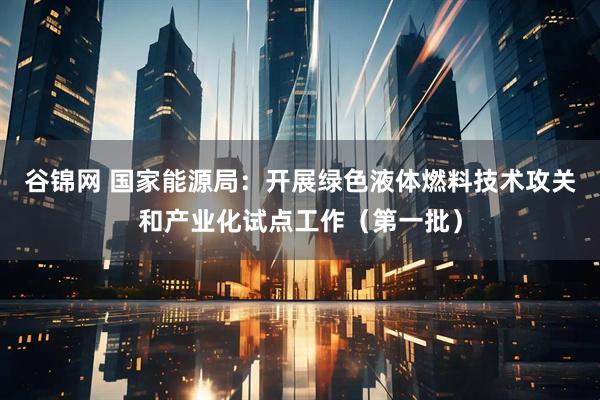 谷锦网 国家能源局：开展绿色液体燃料技术攻关和产业化试点工作（第一批）
