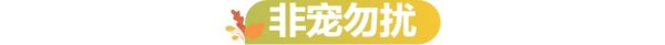 聚创配资 逃避催婚的年轻人们，正忙着帮宠物相亲