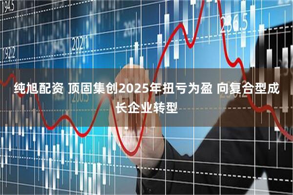 纯旭配资 顶固集创2025年扭亏为盈 向复合型成长企业转型